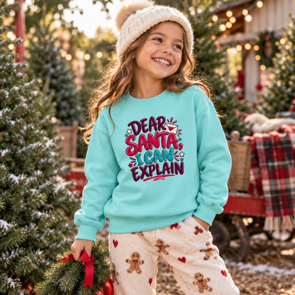 Dear Santa I can Explain in Peppermint – festive lifestyle photo